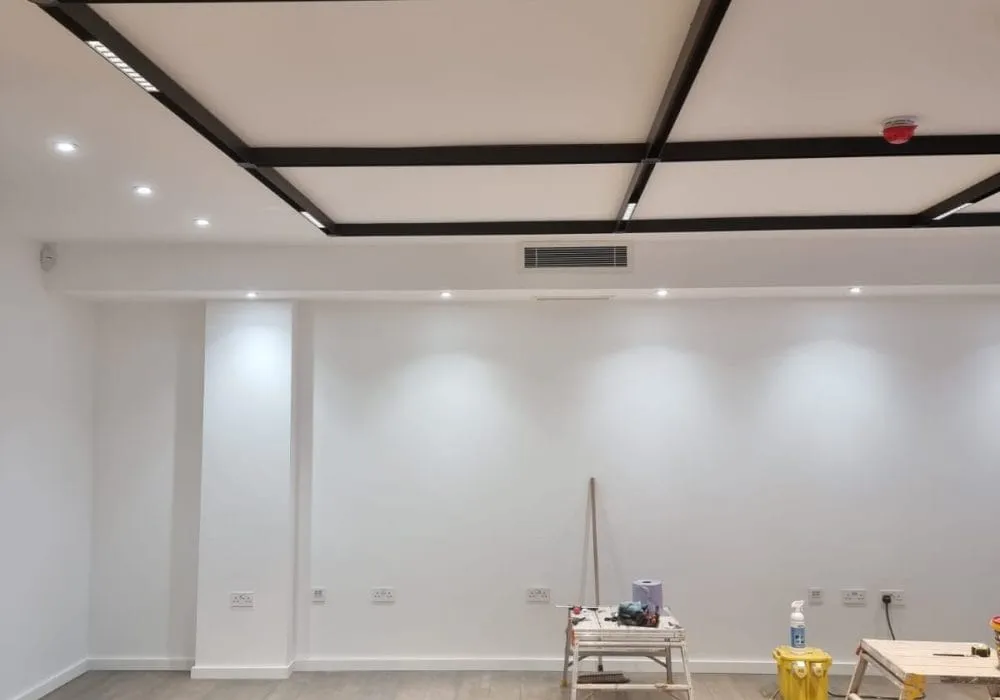 Painting Professional Services in Finsbury Park